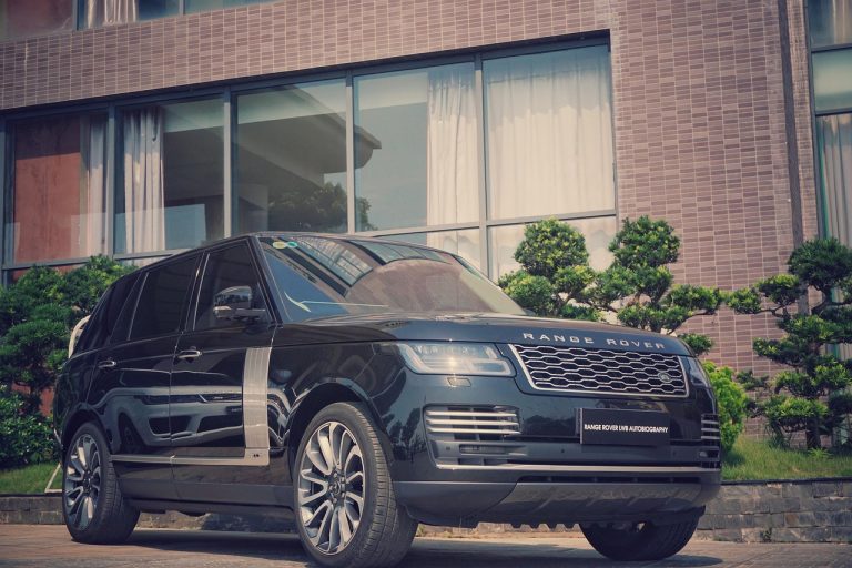 Romanul Adolescentului Miop rezumat temele si mesajul cartii