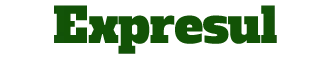 pp logo expresul