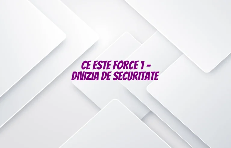 force 1 divizia de securitate