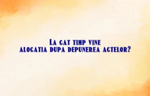 la cat timp vine alocatia dupa depunerea actelor