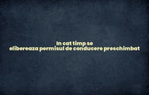 in cat timp se elibereaza permisul de conducere preschimbat