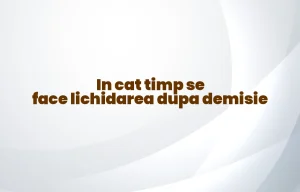 in cat timp se face lichidarea dupa demisie