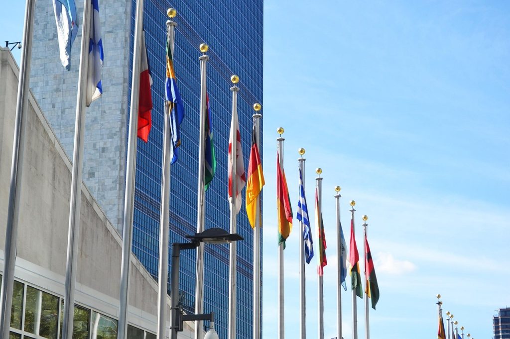 state membre onu